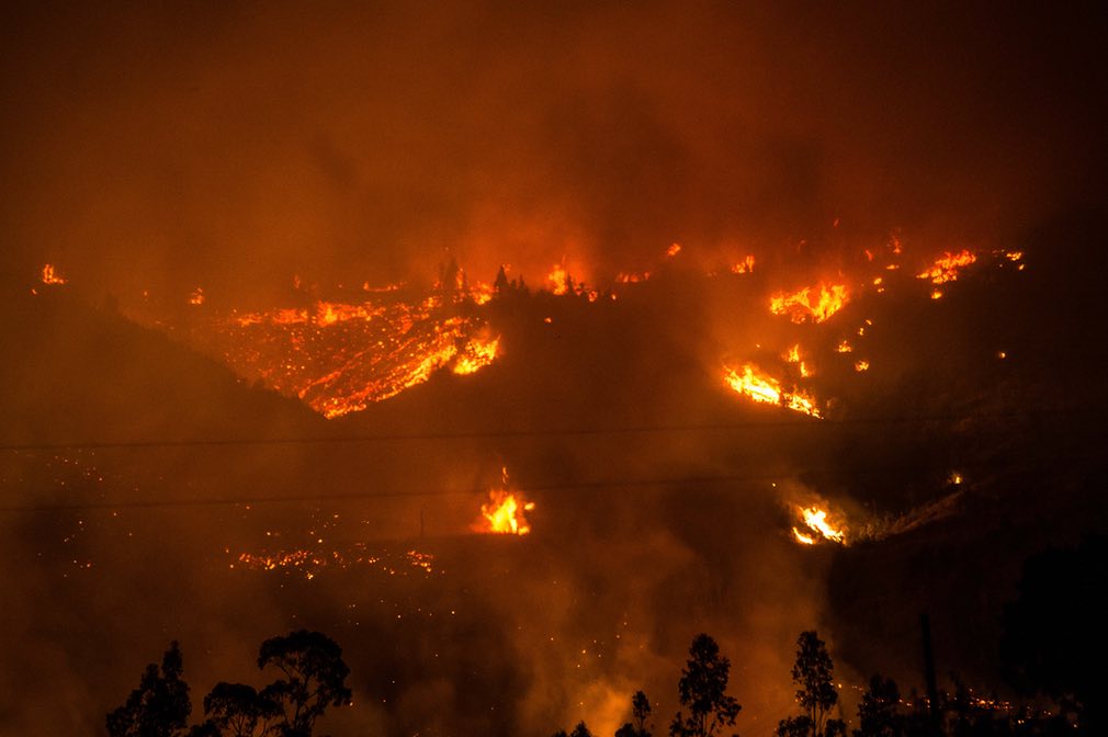 The Worst Forest Fire in Chile's History and Effect the Price of Fluff Pulp