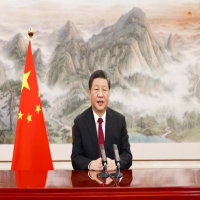 Xi calls for joint steps toward recovery, financial stability